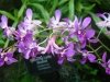 dsc04505s