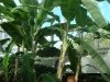 dsc04312s