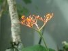 dsc04327s