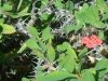 dsc04333s