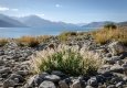 _DSC4759