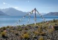 _DSC4762
