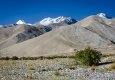 _DSC4768