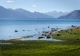 _DSC4774