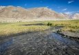 _DSC4785
