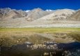 _DSC4792
