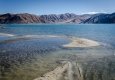 _DSC4795