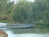 dsc04246s