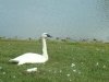 dsc04247s