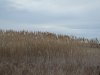 dsc07361