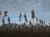 dsc07376