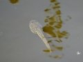DSC08681