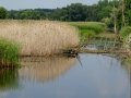 DSC08688