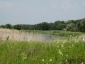 DSC08695