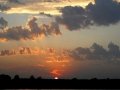 DSC01334