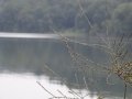 DSC09905