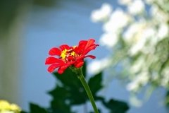 DSC02030