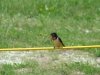 dsc00357