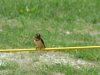 dsc00359