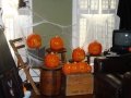 dsc06653