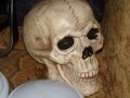 dsc06667