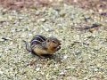 CDD_8805