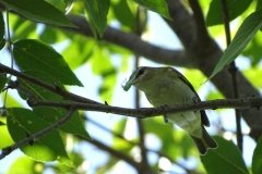 DSC03390