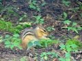 DSC00438