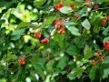 DSC00440