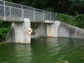 DSC00505