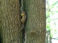 DSC00690