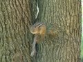 DSC00703