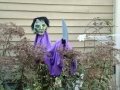 dsc06623