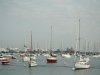 img_5331s