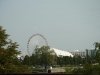 img_5351s