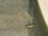 dsc00247