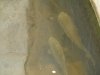 dsc00250