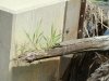 dsc00256