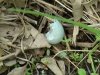 dsc00260