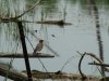 dsc00270