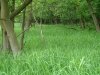 dsc00271