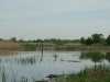 dsc00272