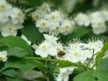 dsc00295