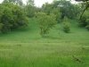 dsc00301