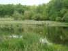 dsc00313