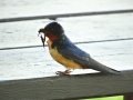 DSC05507