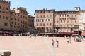quack_02-21a