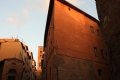 quack_02-26