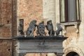 quack_03-11