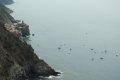 quack_03-23